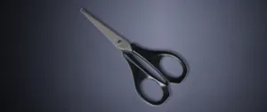 Beard Trimming Scissors